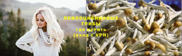ПСИЛОЦИБИНОВЫЕ ГРИБЫ Пролетарск