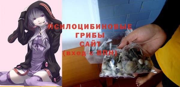 бошки Приозерск
