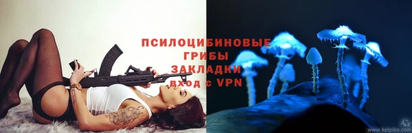 ПСИЛОЦИБИНОВЫЕ ГРИБЫ Пролетарск