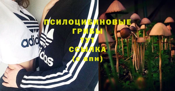 ПСИЛОЦИБИНОВЫЕ ГРИБЫ Пролетарск
