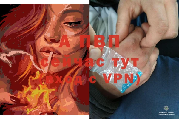 ПСИЛОЦИБИНОВЫЕ ГРИБЫ Пролетарск