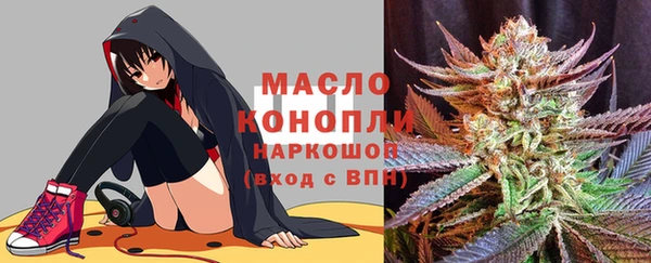 амф Протвино