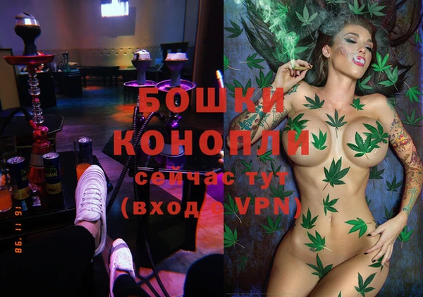 амф Протвино