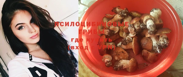 амф Протвино