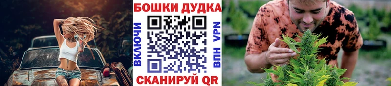купить наркотики сайты  Судогда  Марихуана THC 21% 